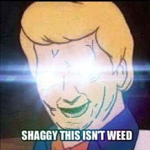 Meet your Posher, Brian